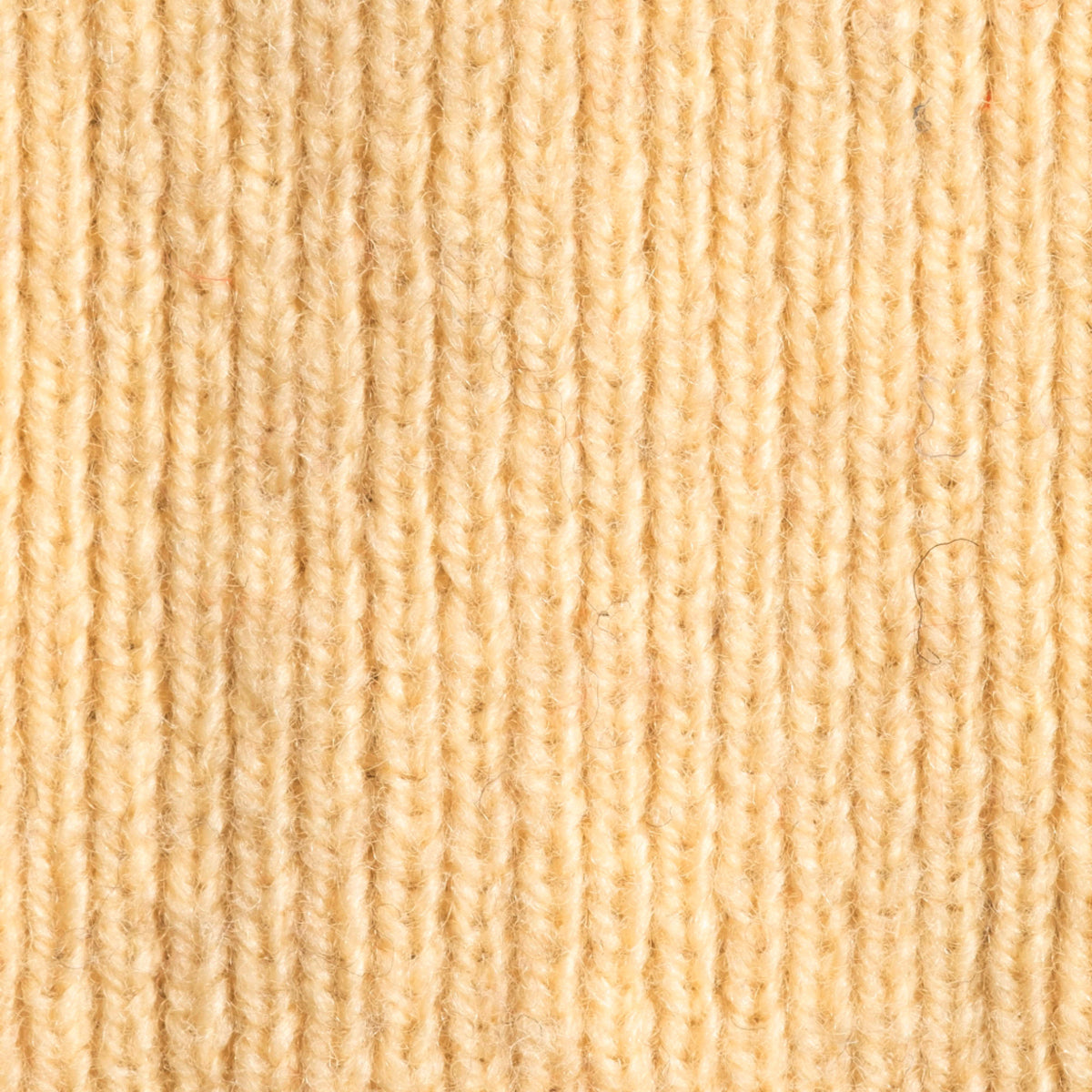 Solar Yellow