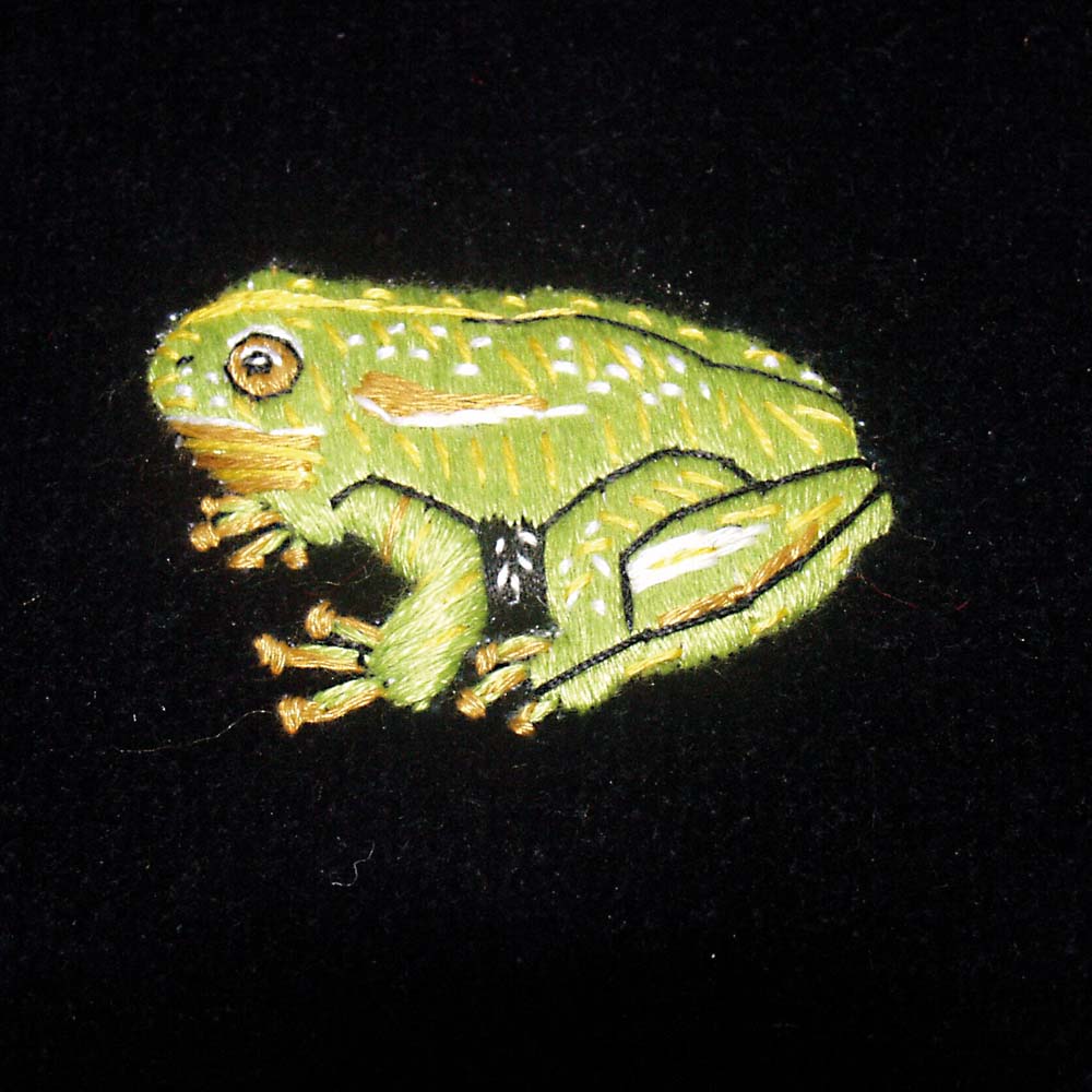 Frog Embroidered Velvet Slipper