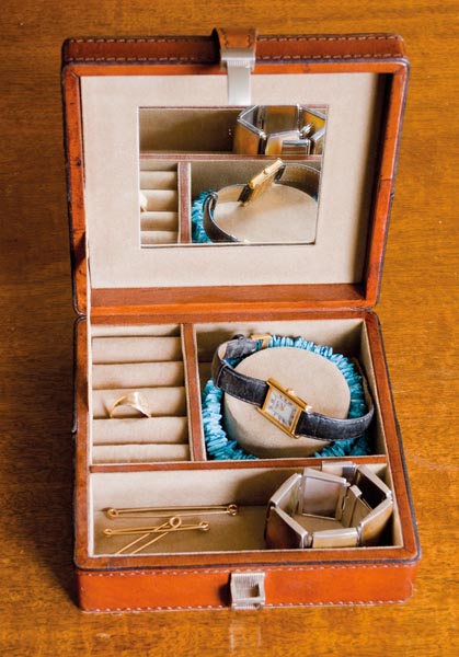 Luxurious Jewellery Box I
