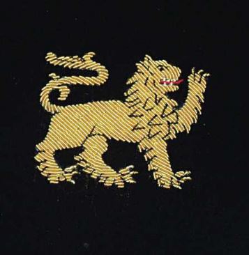 Mens Zodiac Leo Navy Velvet Slipper - UK 9