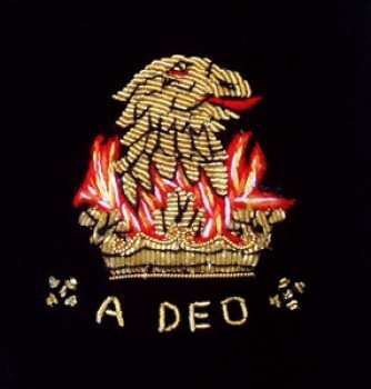 Family Crest Velvet Cushion Close III