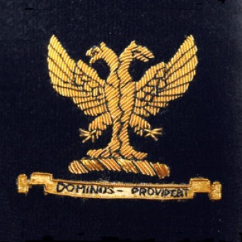 Family Crest Velvet Cushion Close V