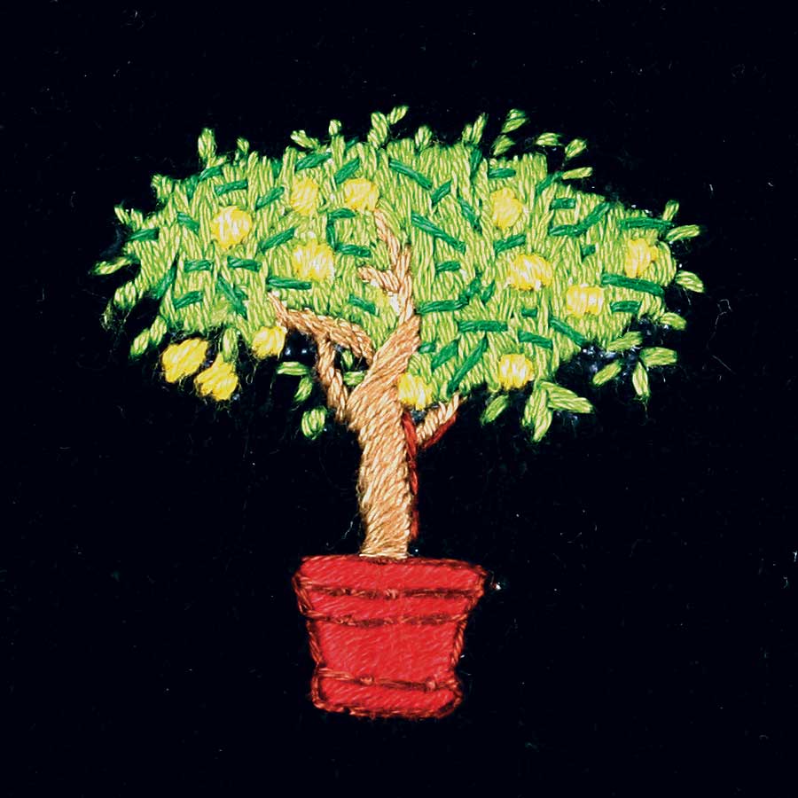 Lemon Tree Embroidered Velvet Slipper