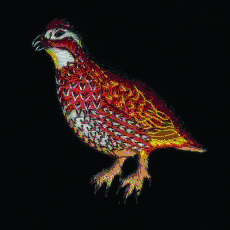 Quail Embroidered Velvet Slipper